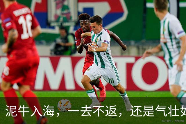 泥牛入海，一去不返，还是气壮如牛，卷土重来？这些新星给出了答案